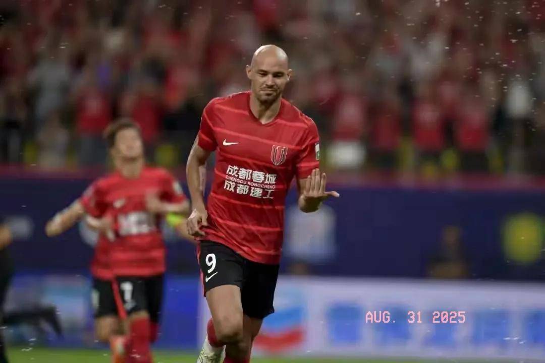 成功交易的 成功交易的