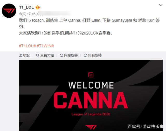 团队合作 团队合作